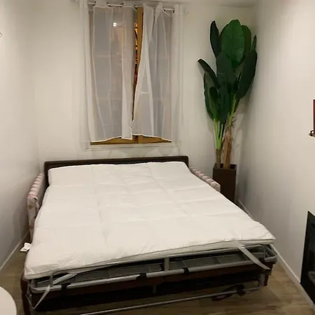 Studette Le Figuier *